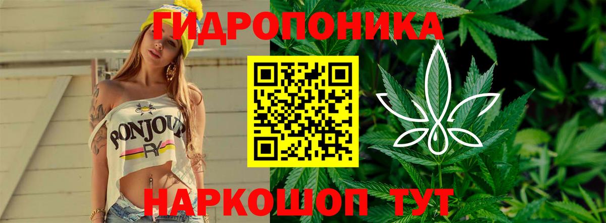 Марихуана конопля  Марихуана THC 21%  Марихуана AK-47  Бошки марихуана SATIVA & INDICA  Элиста  Вход с VPN 