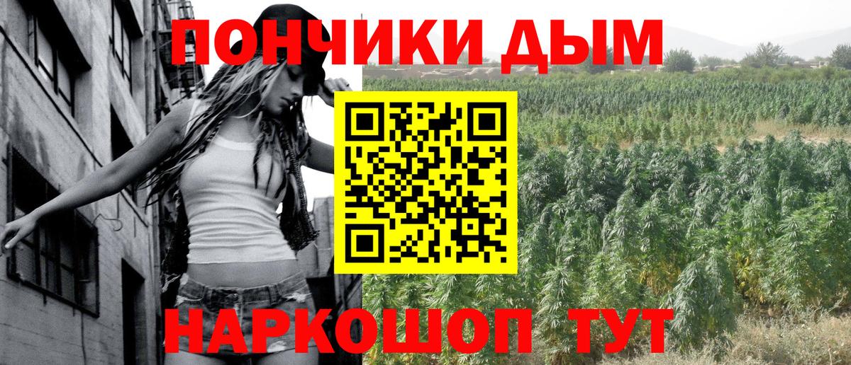 Канабис OG Kush Элиста